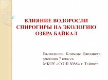 Научно-исследовательская работа Влияние водоросли спирогиры на экологию озера Байкал