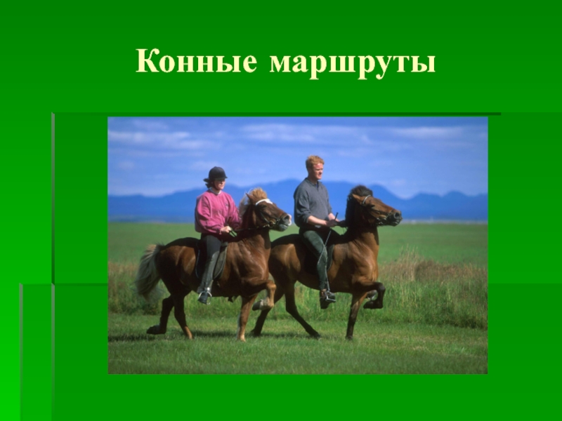 Коневод профессия. Конные маршруты. День коневода. Перспективы профессии коневод.