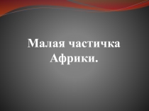 Презентация по окружающему миру Малая частичка Африки