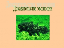 Презентация к уроку Доказательства эволюции (11 класс)