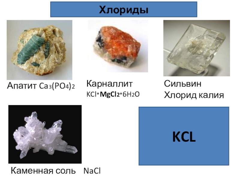 Природные соединения натрия. Карналлита KCL·mgcl2·6h2o. Калий минерал. Минералы натрия. Калий в природе встречается в виде.
