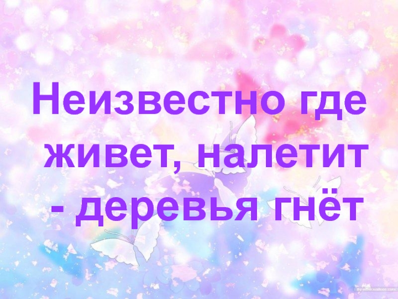 Неизвестно где