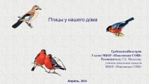 Презентация по окружающему миру Птицы у нашего дома