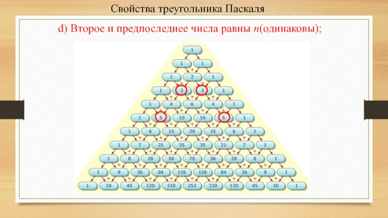 N строка треугольника паскаля. Свойство строки треугольника Паскаля. Свойства элементов строки треугольника Паскаля. Сумма чисел строки треугольника Паскаля. Проект треугольник Паскаля 7 класс.