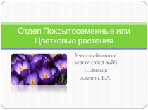 Презентация к уроку повторения и обобщения по биологии (6 класс) Отдел Покрытосемянные или Цветковые растения
