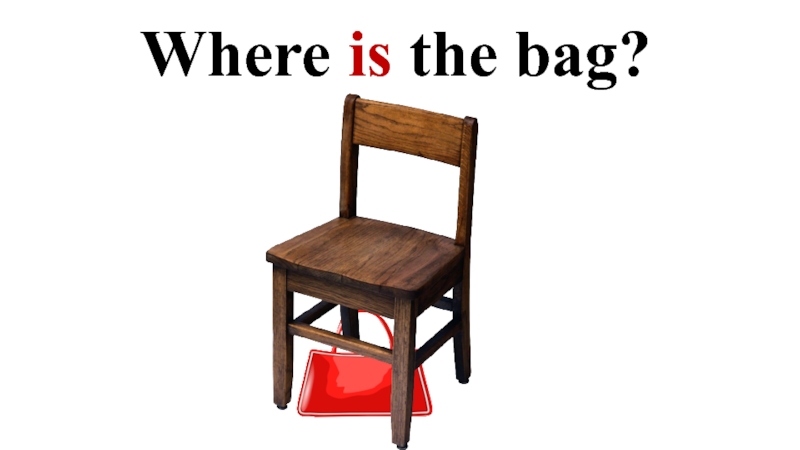 Where is the bag?