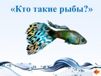 Презентация по окружающему миру Кто такие рыбы? 1класс