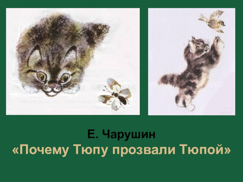 Кошка маруська рисунок