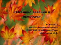 Презентация по окружающему миру Осенние изменения