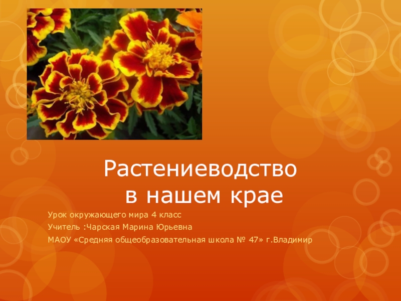 Растениеводство 4 класс окружающий мир презентация