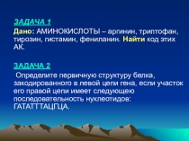Презентация по биологии 10 класс на тему Катаболизм