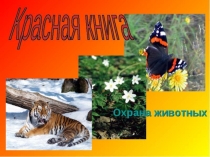 Презентация по окружающему миру Красная книга