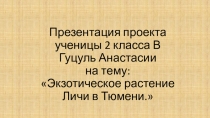 Презентация Гуцуль Анастасия 2 В класс Можно ли вырастить личи в домашних условиях