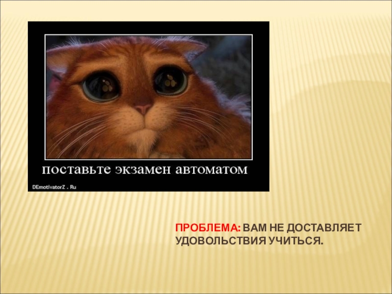 Перед экзаменом. Поставьте экзамен. Автомат по экзамену. Поставьте автомат на экзамене. Оценка автоматом за экзамен.