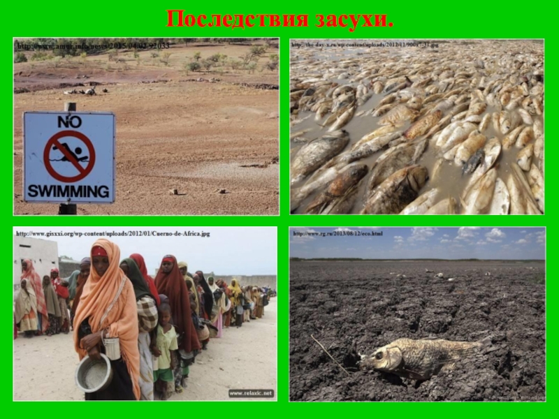 Почему засуха. Экологические последствия засухи. Экологические катастрофы засуха. Неблагоприятные последствия засухи.