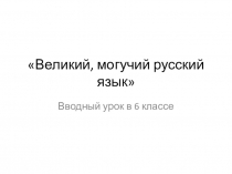 Урок русского языка в 6 классе