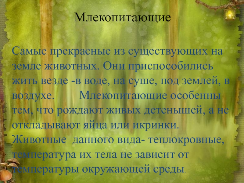 Презентация по рассказу снап