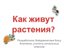 Презентация по окружающему миру на тему Как живут растения? Плешаков