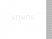 Проект на тему Запасливый друг