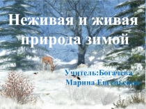 Презентация Неживая и живая природа зимой