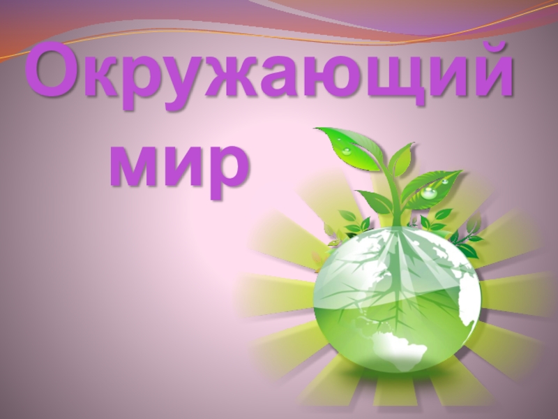 Вклад растений в поддержании жизни на земле. Благодарствую растения. Благодарность растениям. Презентация по окружающему миру. Спасибо растениям окружающий мир.