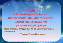 Проект космос Организация проектно- образовательной деятельности детей через создание развивающей среды.