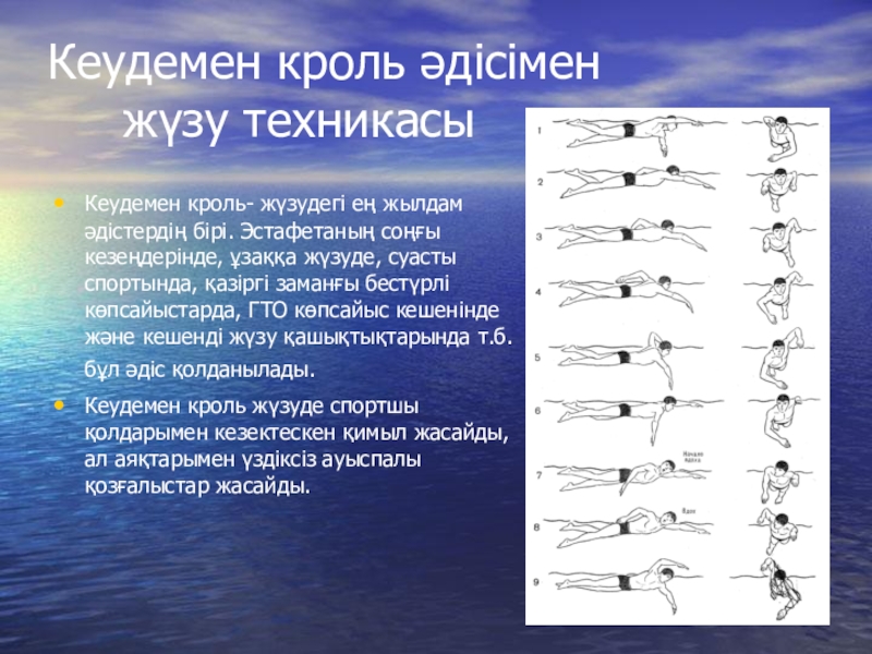 Брасс плавание презентация