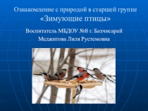 Презентация занятия по ознакомлению с природой Зимующие птицы