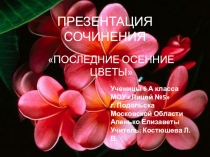 Сочинение Последние осенние цветы