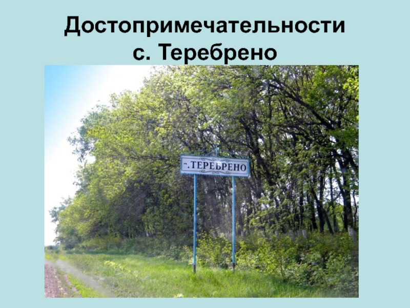 Село теребрено на карте