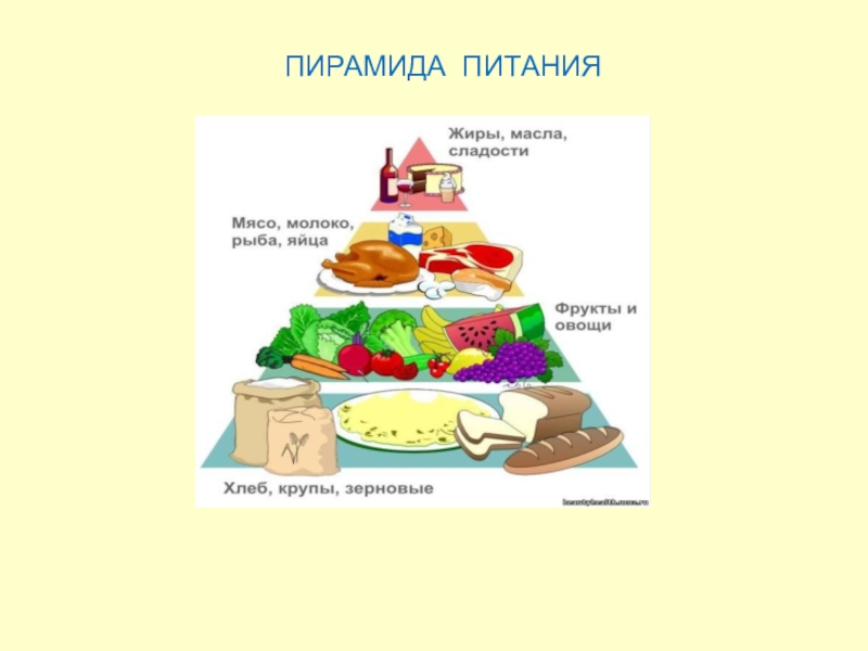 Питание 5. Пищевая пирамида 5 класс технология. Пирамида питания 5 класс технология. Пищевая пирамида учебник технология 5 класс. Что такое пищевая пирамида по технологии 5 класс.