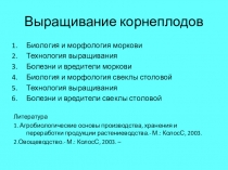 Презентация по технологии на тему выращивание свеклы и моркови