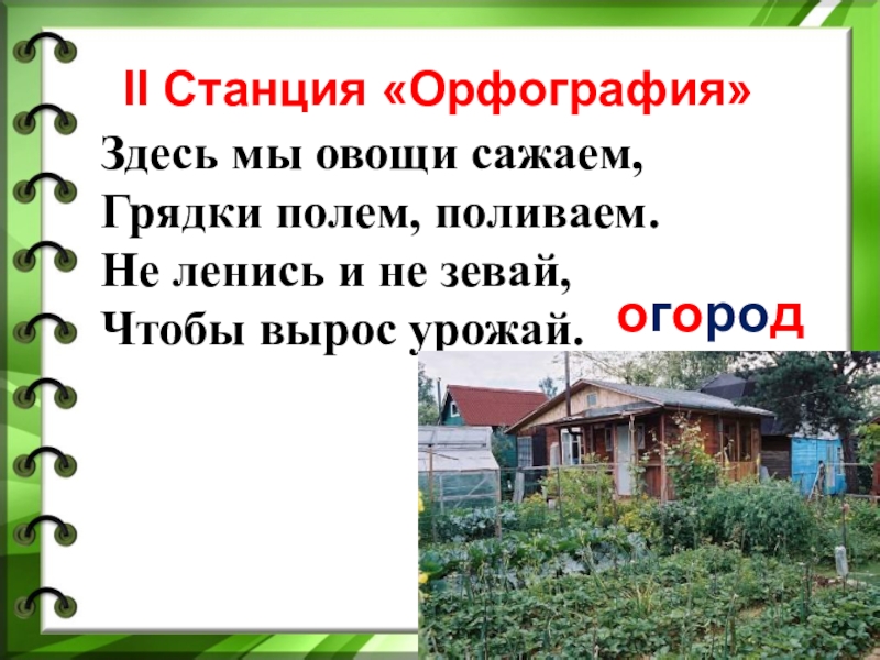 Предложение со словом полю и полью. Станция орфографическая. Полю грядки составить предложения. Я полю грядки я полью грядки. Упражнение я полю грядки.