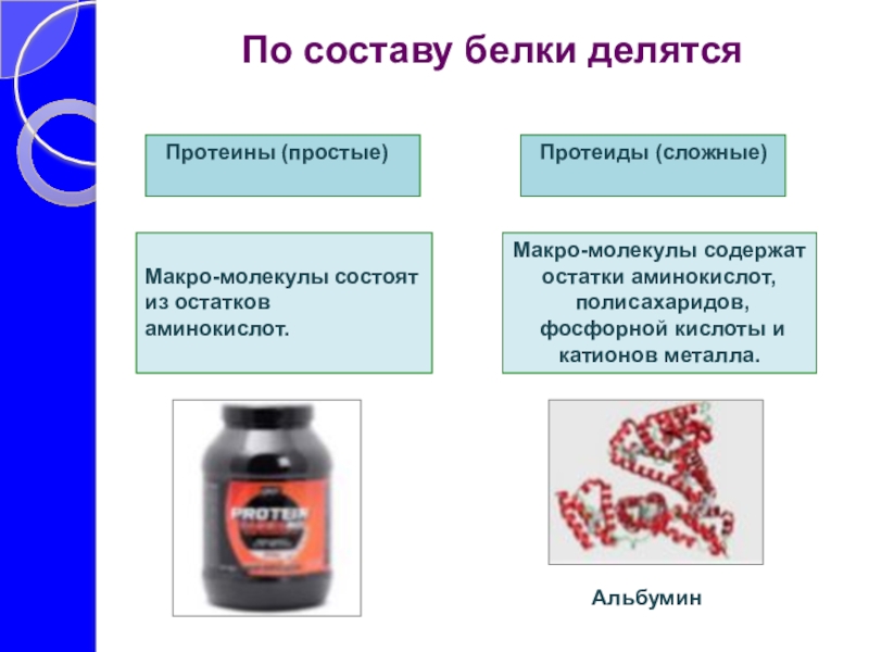 Презентация на тему белки по биологии 10 класс