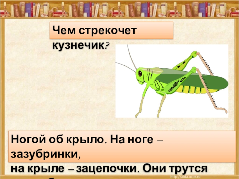 С г георгиев стрекот кузнечика 2 класс презентация