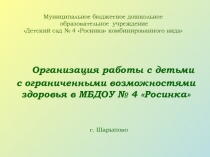 Организация работы с детьми с ОВЗ в ДОУ