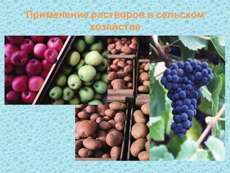 Применение растворов. Растворы в сельском хозяйстве. Роль растворов в сельском хозяйстве. Растворы вокруг нас презентация.