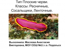 Презентация по биологии Плоские черви