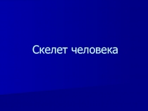 Презентация по биологии 8 класс по теме Строение скелета человека