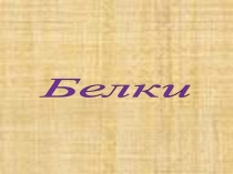Презентация для учащихся 10х классов на тему Белки