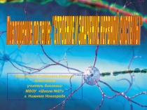 Рефлекторный принцип работы нервной системы