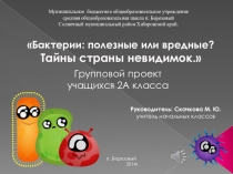 Бактерии полезные или вредные