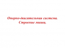 Опорно-двигательная система. Строение мышц.