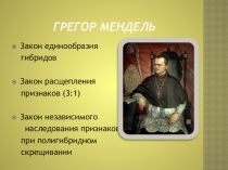 Презентация по биологии Хромосомная теория наследственности