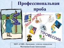 Презентация к уроку технологии 9 класс. Профессиональная проба