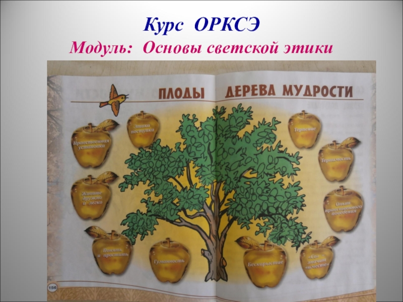 Дерево мудрости рисунок 4 класс орксэ