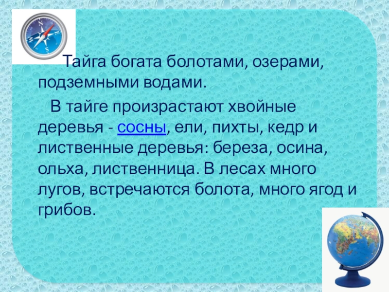 Тайга богата болотами, озерами, подземными водами. В тайге произрастают