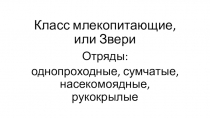 Презентация по биологии по теме Млекопитающие