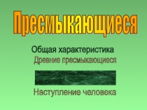 Презентация по окружающему миру Современные пресмыкающиеся