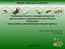 Реализация опытно-экспериментальной деятельности в образовательной области Познание (опыт работы воспитателей старшей группы).